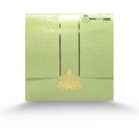 beautiful wedding card